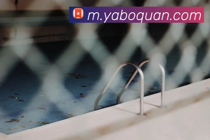 yabo平台生态图